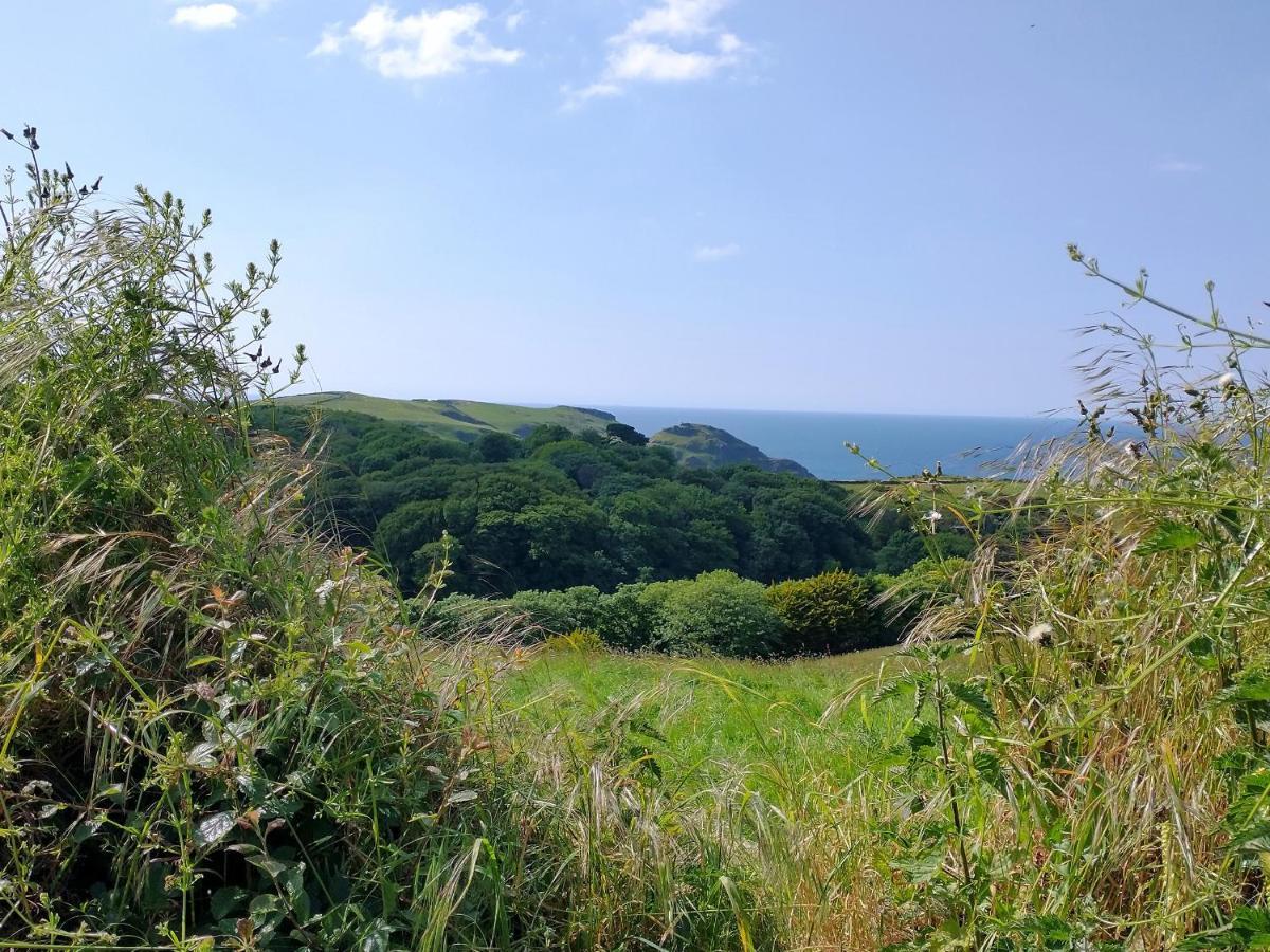Villa The Mill à Tintagel Extérieur photo
